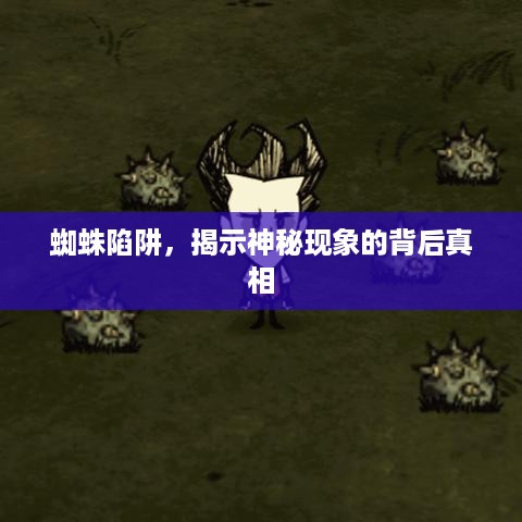蜘蛛陷阱，揭示神秘现象的背后真相  第1张