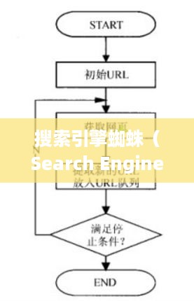 什么是搜索引擎蜘蛛  第1张