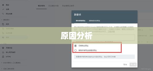 探究网页收录后又被删除的原因