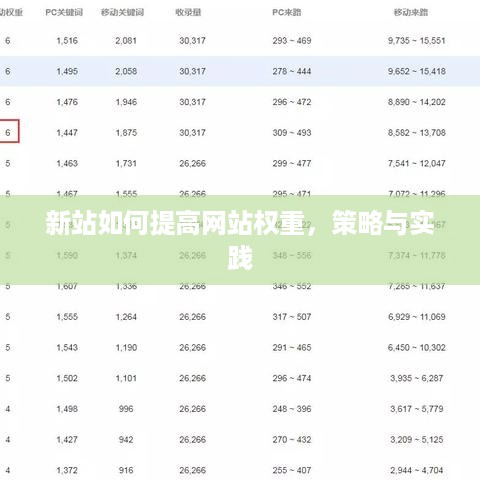新站如何提高网站权重，策略与实践