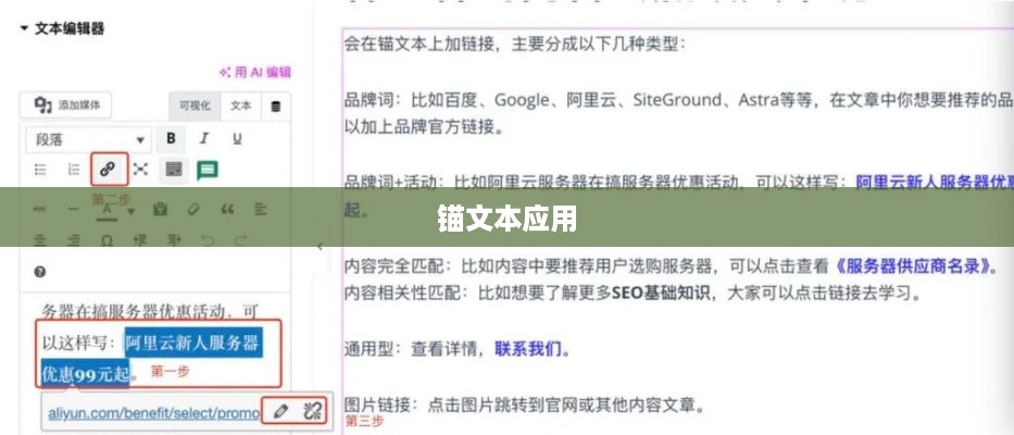 锚文本应用指南，如何正确设置和使用锚文本  第1张