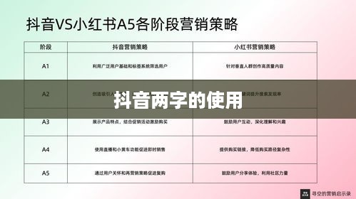 抖音简介中的抖音两字的使用探讨