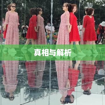 抖音上出船赚钱背后的真相与解析