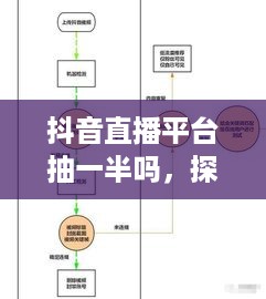 抖音直播平台抽一半吗，探究抖音直播的运营模式与分成机制