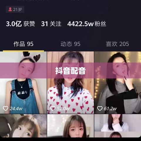 抖音配音能否使用国歌，界限与尊重  第1张