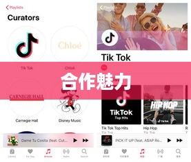 双人抖音，探索美好合作的魅力  第1张