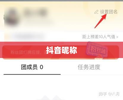抖音收货姓名是否需要写抖音昵称？解析与探讨  第1张