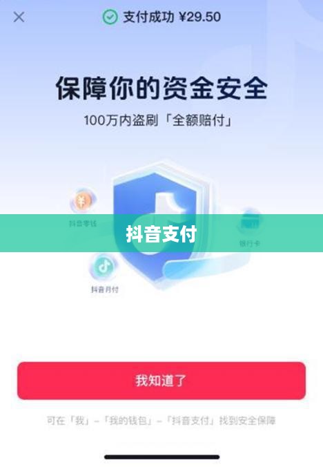 抖音支付与充抖币，支付安全及操作解析  第1张