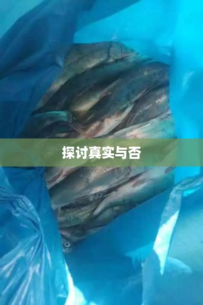 抖音上能否售卖活鱼，真实与否的探讨  第1张