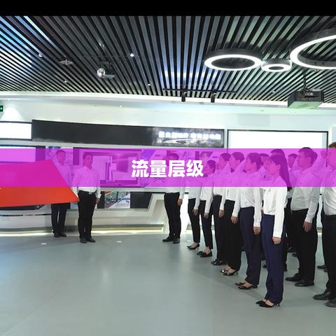 抖音真有流量层级吗？深度解析抖音流量分配机制  第1张