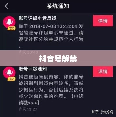 抖音号解禁后是否会被限流，解析与应对策略  第1张