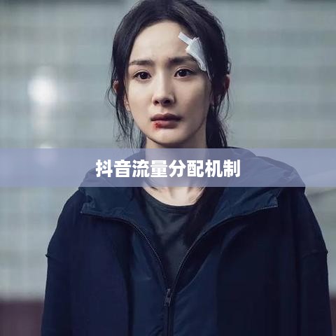 抖音真有流量层级吗，探究抖音流量分配机制  第1张