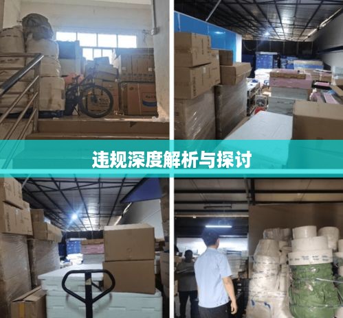 抖音养猫行为是否违规，深度解析与探讨  第1张