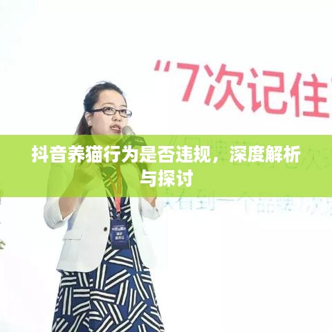 抖音养猫行为是否违规，深度解析与探讨  第1张