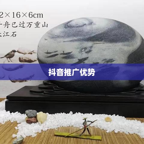 抖音推广的优势与挑战，探索短视频营销的潜力  第1张