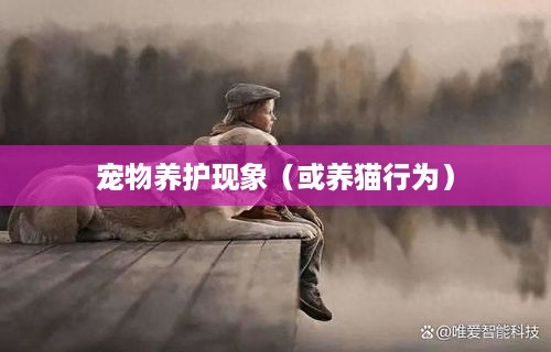 抖音养猫行为违规吗？探究抖音平台上的宠物养护现象  第1张