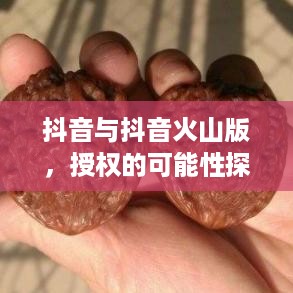 抖音与抖音火山版，授权的可能性探讨  第1张