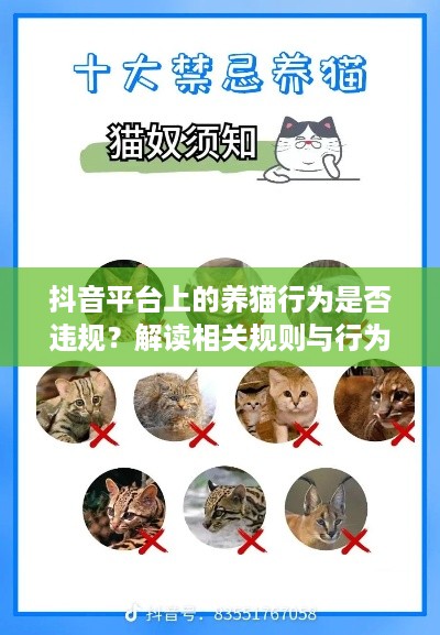 抖音平台上的养猫行为是否违规？解读相关规则与行为准则