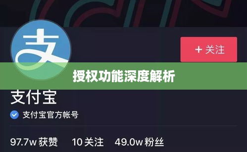 抖音与抖音火山版，授权功能的深度解析  第1张