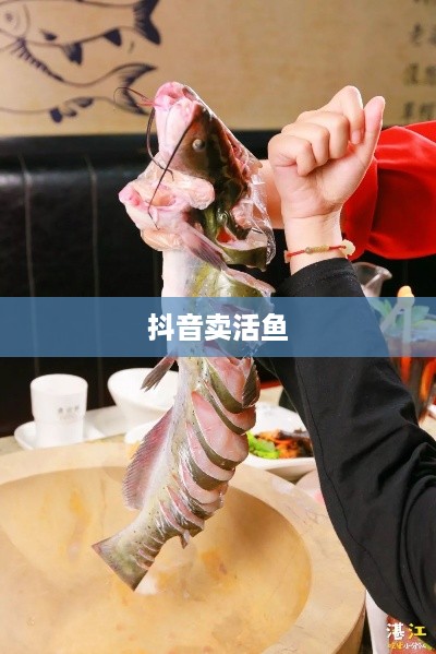 抖音上能否卖活鱼？真相揭秘  第1张