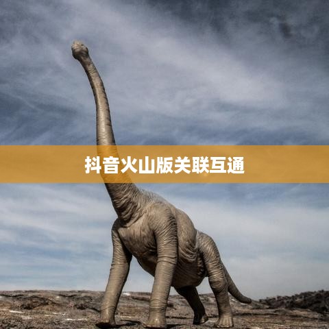 抖音账号与抖音火山版的关联互通探讨  第1张