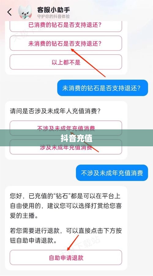 抖音充值能否退款及退款流程详解  第1张