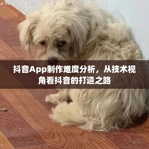 抖音App制作难度分析，从技术视角看抖音的打造之路