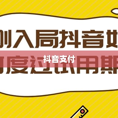 抖音支付与充抖币，支付方式与安全性解析  第1张