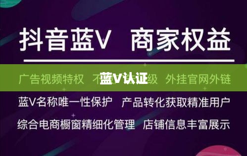 抖音KTV能否进行蓝V认证，解析与探讨  第1张
