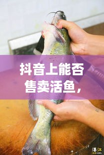 抖音上能否售卖活鱼，真实与否的探讨  第1张