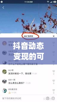 抖音动态变现的可能性与策略探讨  第1张