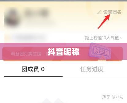 抖音收货姓名是否需要写抖音昵称？解析与探讨  第1张