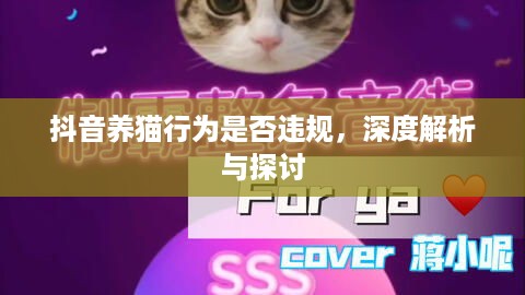 抖音养猫行为是否违规，深度解析与探讨  第1张