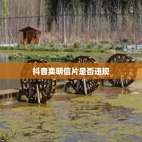 抖音卖明信片是否违规，法律与商业实践的交汇点  第1张