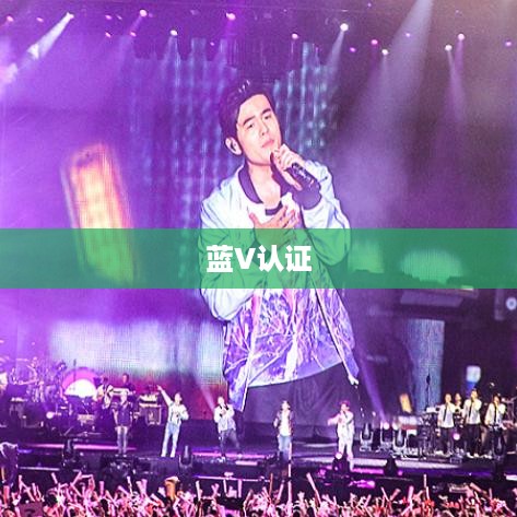 抖音KTV能否进行蓝V认证，解析与探讨  第1张