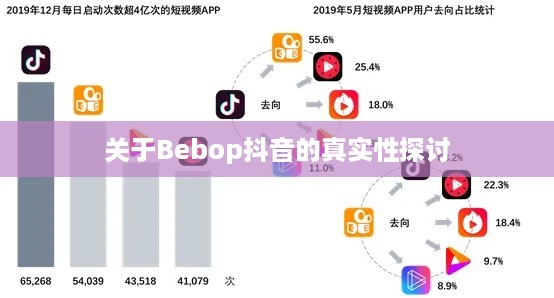 关于Bebop抖音的真实性探讨  第1张