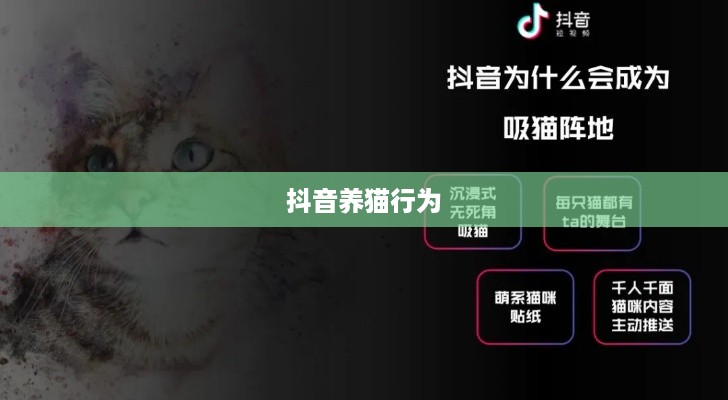 抖音养猫行为是否违规，深度解析与探讨  第1张