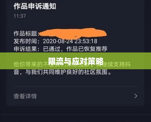 抖音号解禁后是否会被限流，解析与应对策略  第1张
