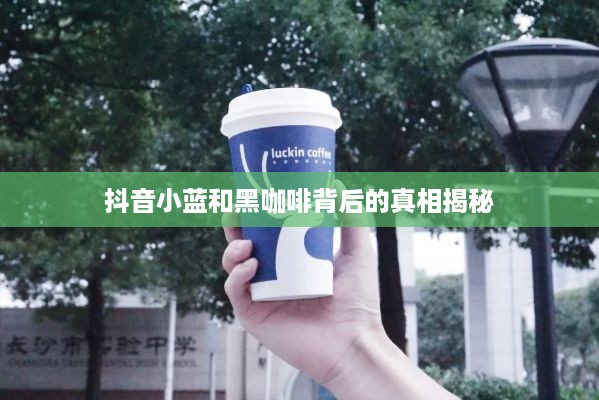 抖音小蓝和黑咖啡背后的真相揭秘  第1张