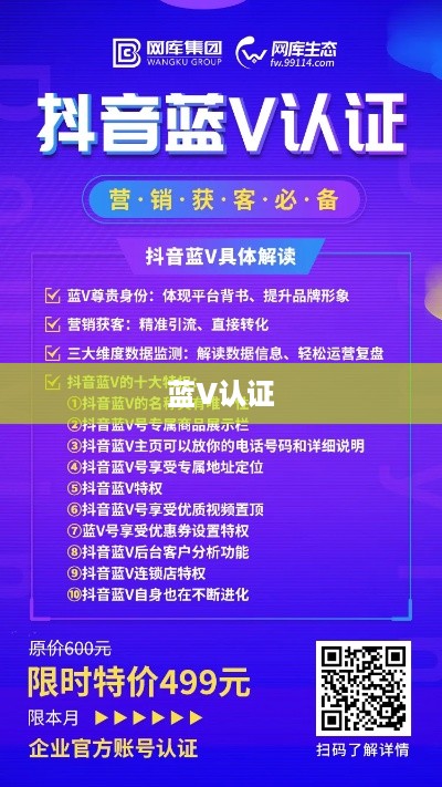 抖音KTV能否进行蓝V认证？解析与探讨  第1张