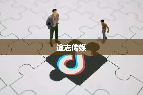 途志传媒在抖音平台的运营可靠性探讨  第1张