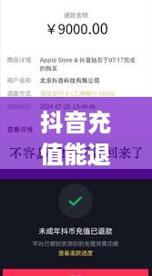 抖音充值能退吗？怎么退？全面解析抖音充值退款流程  第1张