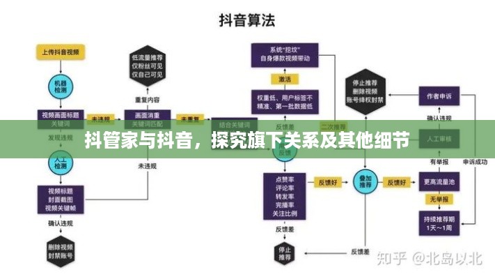 抖管家与抖音，探究旗下关系及其他细节  第1张