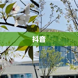 探究抖音与老外抖音的交融世界  第1张