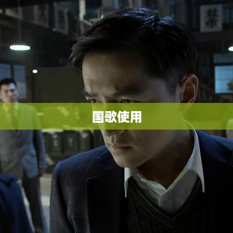 抖音配音能否使用国歌？探讨与反思  第1张