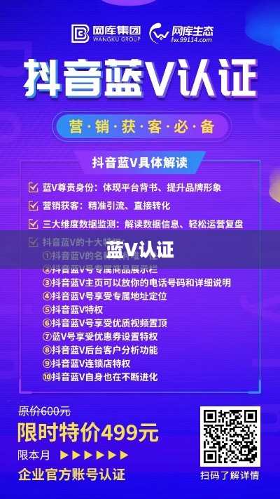 抖音KTV能否进行蓝V认证？解读与探讨  第1张