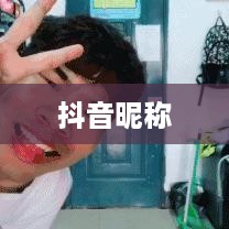 抖音收货姓名是否需要写抖音昵称？解析与探讨  第1张