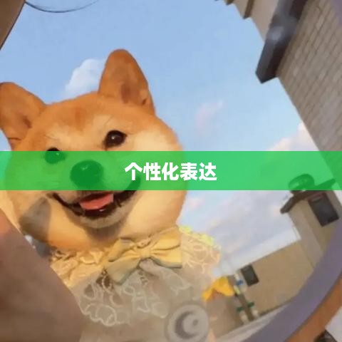 抖音头像的变换与个性化表达  第1张