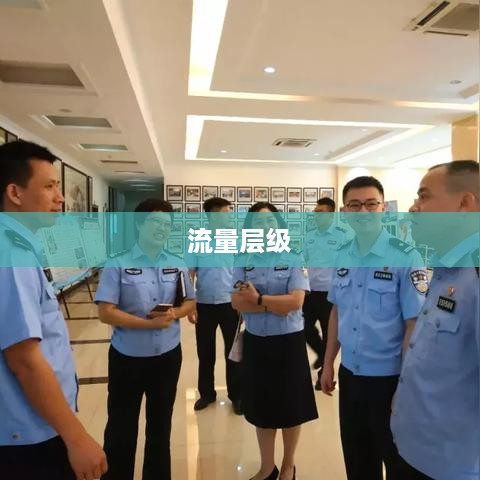抖音真有流量层级吗？深度解析抖音流量分配机制  第1张