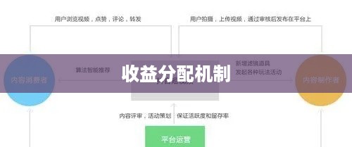 抖音直播平台抽一半吗，探究抖音直播的运营模式与收益分配机制  第1张